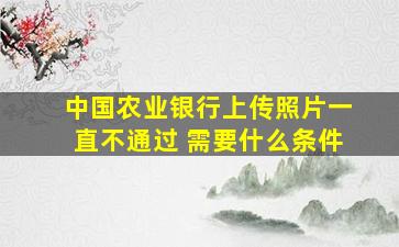 中国农业银行上传照片一直不通过 需要什么条件